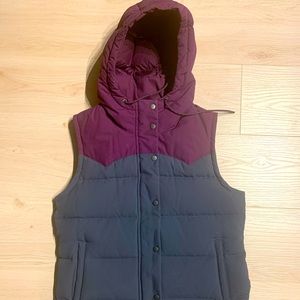 Hooded Patagonia Down-Filled Vest